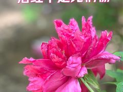 -仁和公园(顺义区)