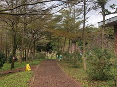 -田野绿世界