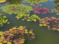 -国家植物园南园