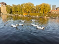 -西安汉城湖景区