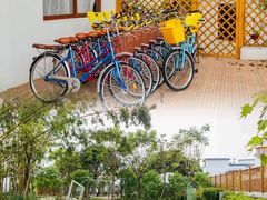 -广州市流溪河国家森林公园