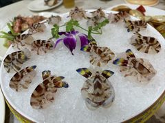 -富来美食(成发大厦店)