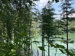 -广州市石门国家森林公园