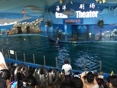 -苏州海洋馆