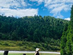 -武陵山森林公园