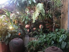 -Jungle Kitchen