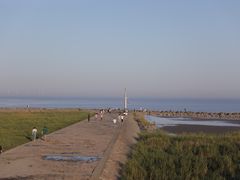 -南汇嘴观海公园