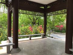 -南汇桃花村
