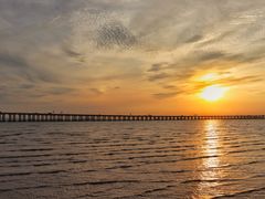 -宝安西湾红树林湿地公园