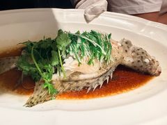 -洋房火锅(上海新天地南北里店)