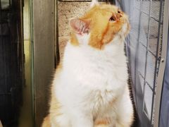 -谷咖啡·鲜花绿植花园餐厅
