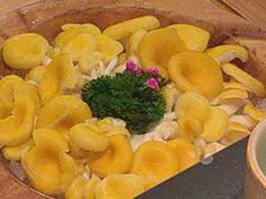 -季季山·云南野生菌火锅(上海首店)