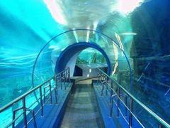 -太平洋海底世界