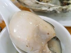 特大蒸生蚝-蚝专家(北滘店)