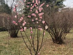-山东师范大学(千佛山校区)