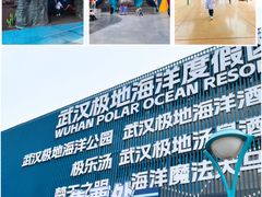 -海合安武汉极地海洋公园