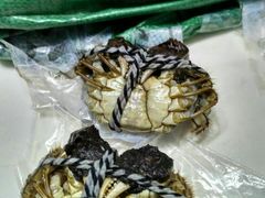 -喜洋洋蟹庄(阳澄湖店)