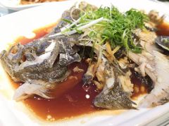 清蒸多宝鱼-朱仔记食府(江南大道店)