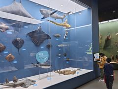 -国家自然博物馆