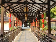 -侨美·唐荔园·40年地道粤菜