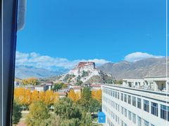 -平措康桑·和牛自助观景餐厅(布达拉宫店)