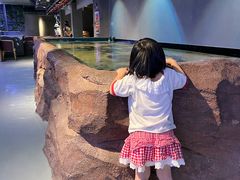 -多彩贵州城极地海洋世界