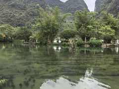 -靖西鹅泉风景区