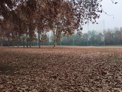 -河南省黄河迎宾馆