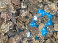 -渔码头食府(蓬莱阁店)