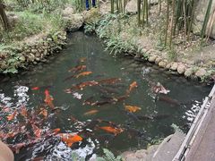 -成都杜甫草堂博物馆