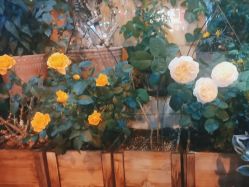 -青木造型HAIR·あおき髪を刈る潮人店