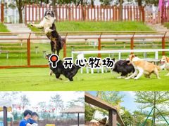 -盈香心动乐园