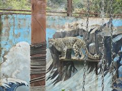 -青藏高原野生动物园