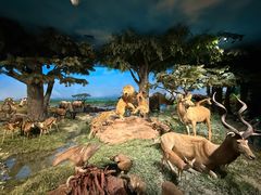 -国家自然博物馆