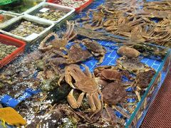 -船奇蒸汽海鲜·闽菜(八市海鲜总店)