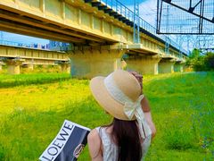 -长白岛森林公园