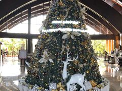 -三亚湾海居铂尔曼度假酒店