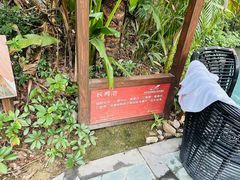 -碧水湾温泉