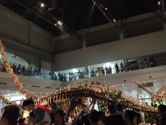 -自贡恐龙博物馆