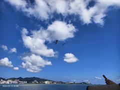 -刘公岛景区