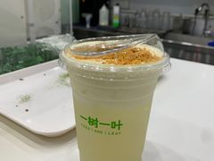 -一树一叶·福建茶档(石鼓路店)