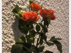 -Cafe on warm(丹霞店)