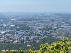 -紫金山山顶公园