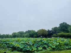 -石湖景区