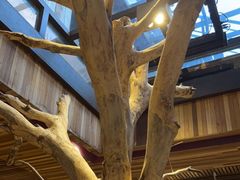 -渔太泰漓江小馆·广西融合菜(西街店)