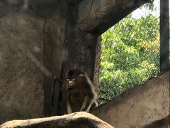 -南昌动物园