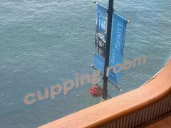 -Cupping Room(Harbour City)