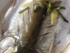 -湖山人家·湖景餐厅·特色农家菜(太湖西山店)