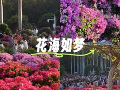 -东莞植物园