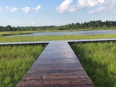 -塞罕坝国家级自然保护区